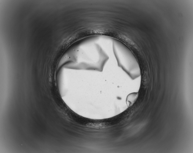 X0000086270639200704191925