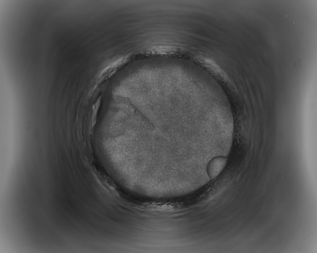 X0000086270640200704191925