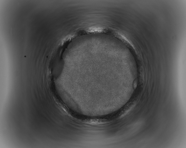 X0000086270641200704191925