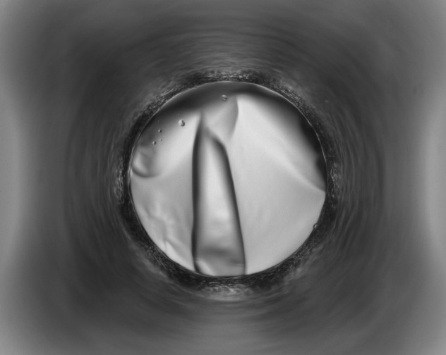 X0000086270642200704191925