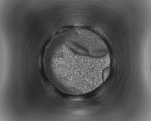 X0000086270643200704191926