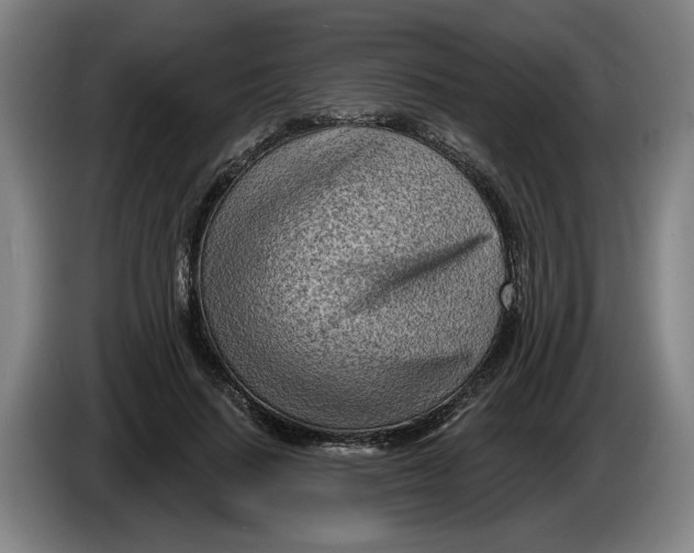 X0000086270644200704191926