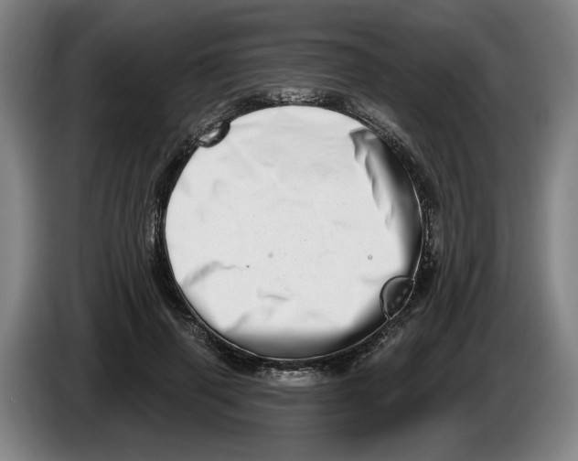 X0000086270645200704191926