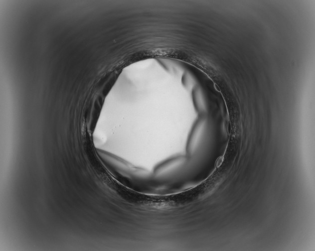 X0000086270646200704191926