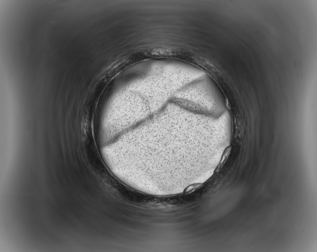 X0000086270648200704191926