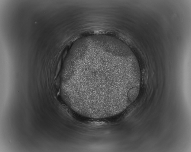 X0000086270650200704191926