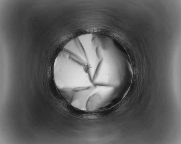 X0000086270652200704191926