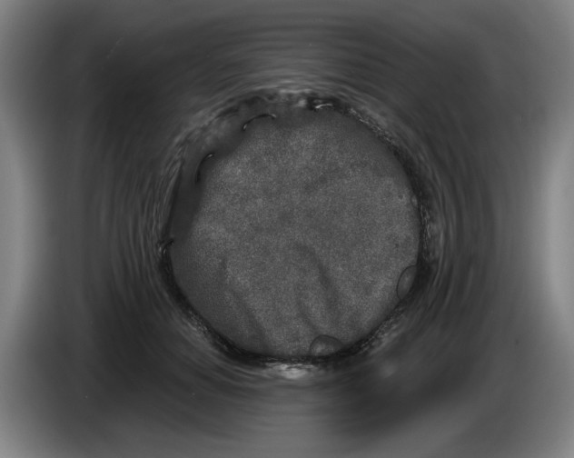 X0000086270654200704191926