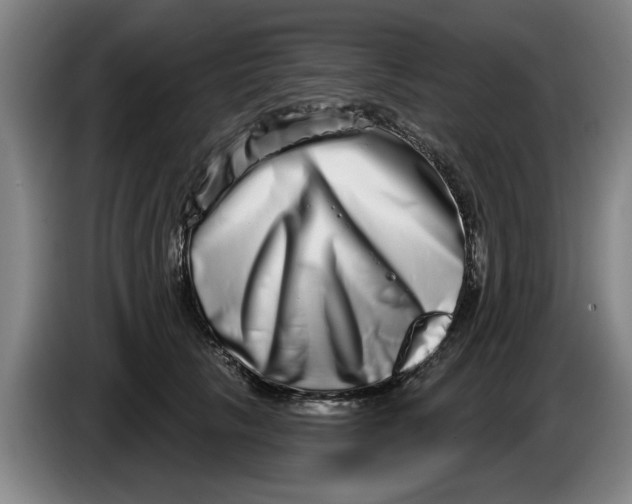 X0000086270657200704191926