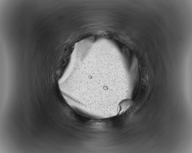 X0000086270658200704191926