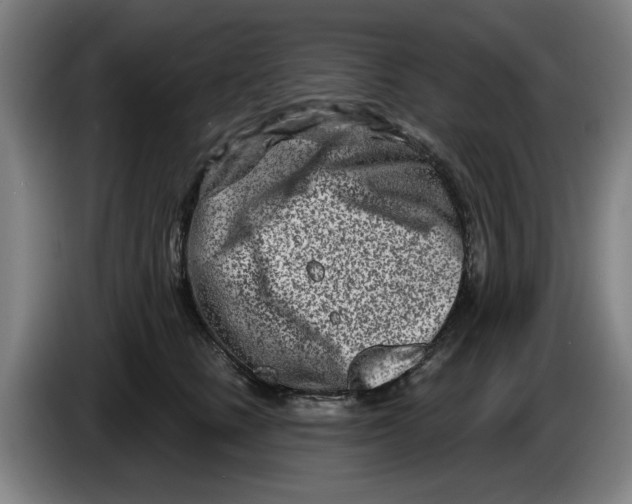 X0000086270661200704191926