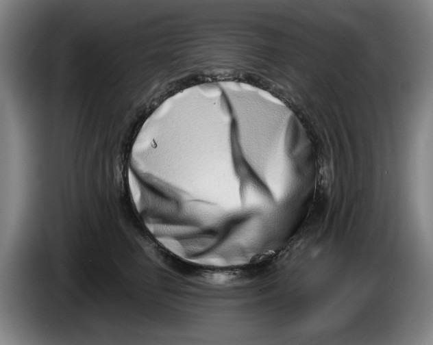 X0000086270662200704191926