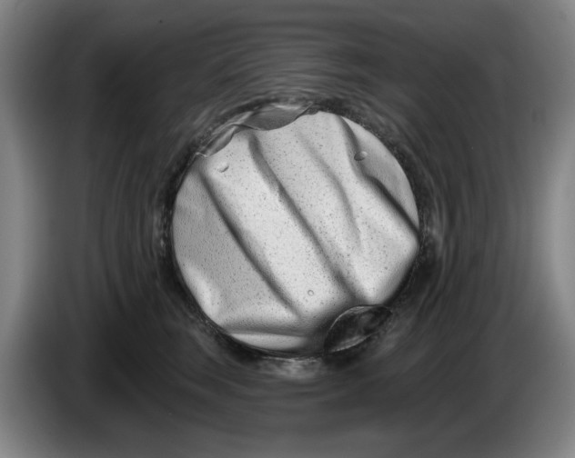 X0000086270663200704191926