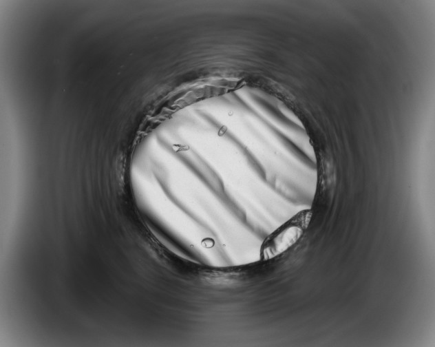 X0000086270664200704191926