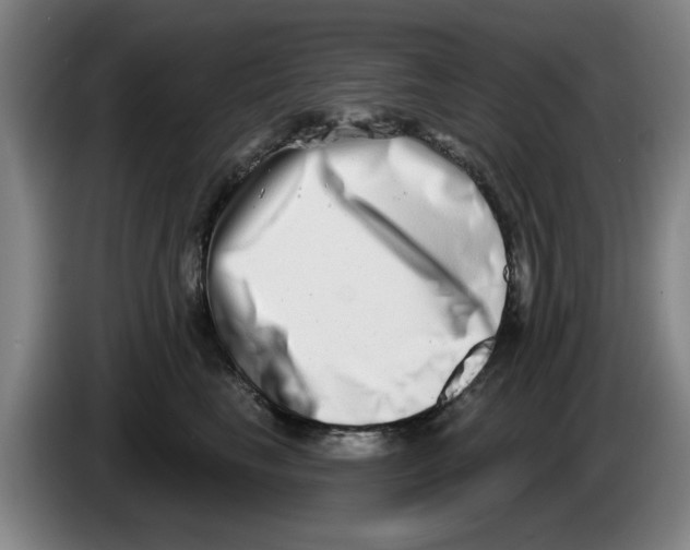 X0000086270665200704191926