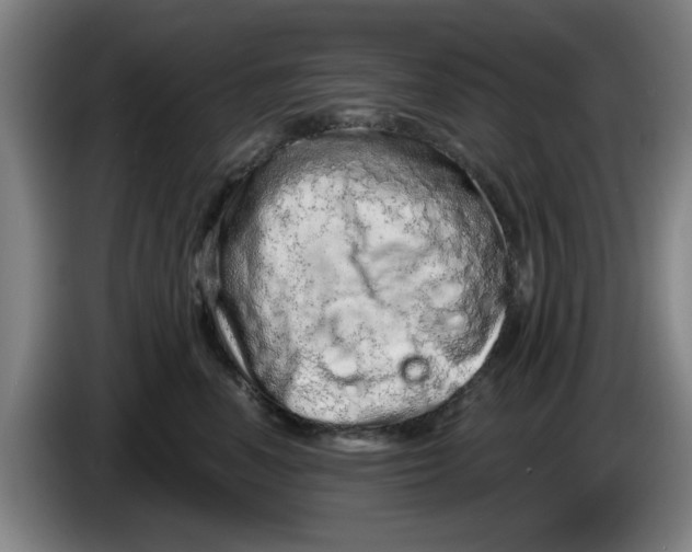 X0000086270666200704191926