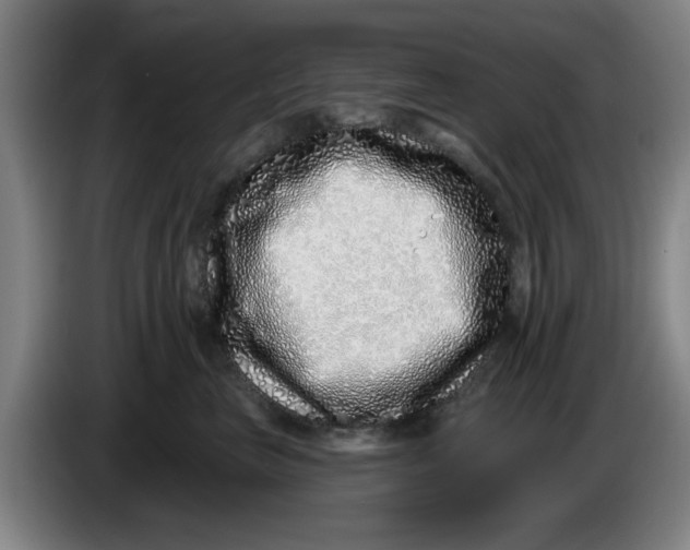 X0000086270667200704191926