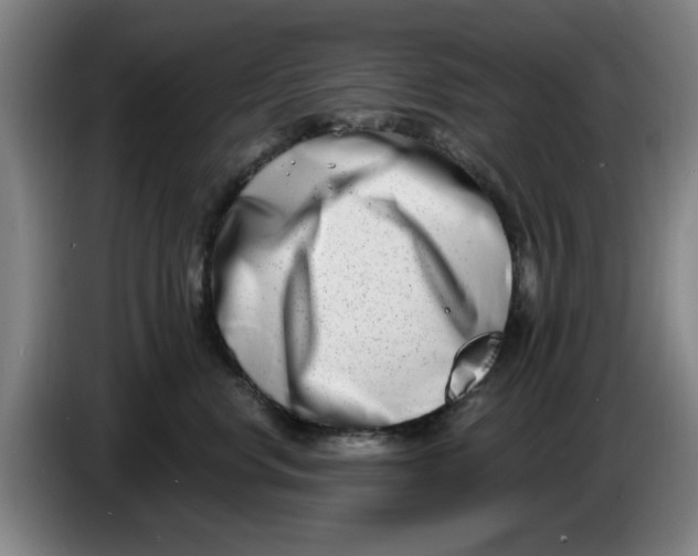 X0000086270668200704191926