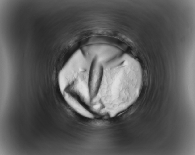 X0000086270670200704191926