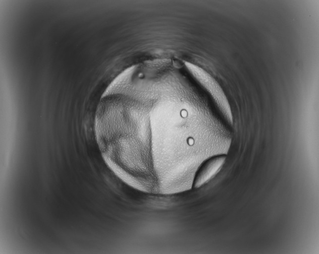 X0000086270671200704191926