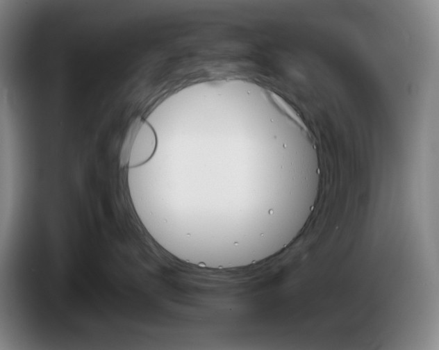 X0000086270672200704191926