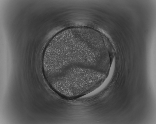 X0000086270673200704191925