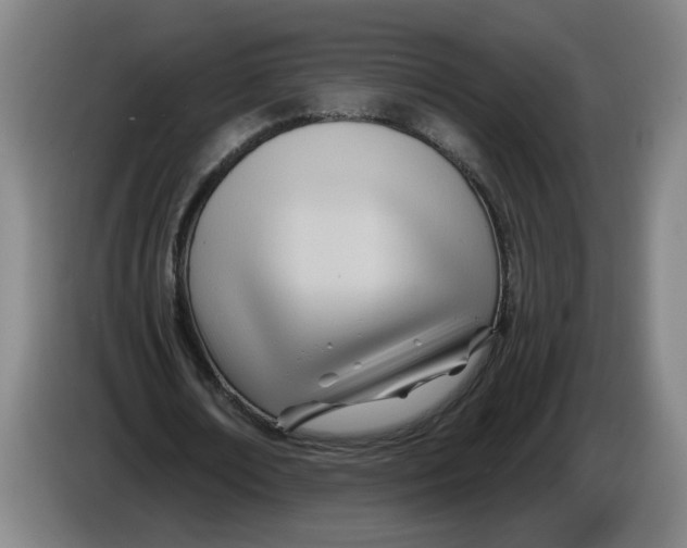 X0000086270674200704191925