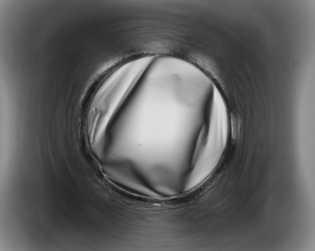 X0000086270675200704191925