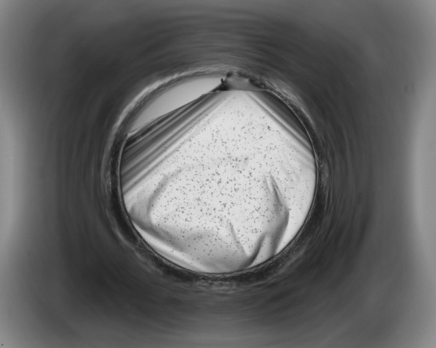 X0000086270676200704191925