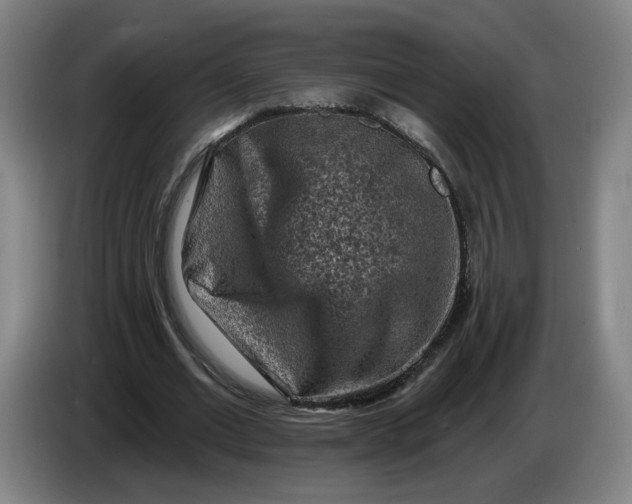 X0000086270677200704191925