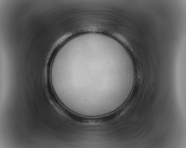 X0000086270678200704191925