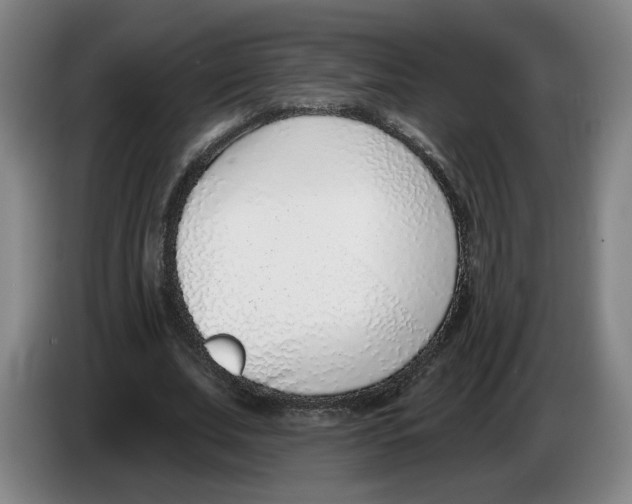 X0000086270679200704191925