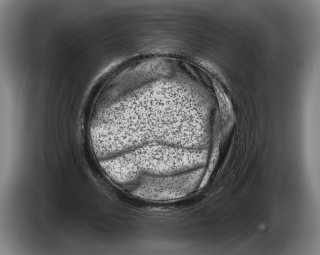 X0000086270680200704191925