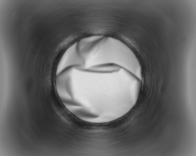 X0000086270682200704191925