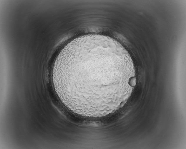 X0000086270683200704191925