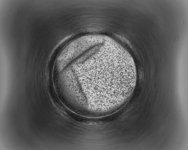 X0000086270684200704191925