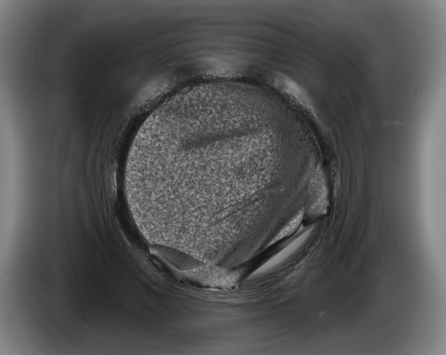 X0000086270685200704191925