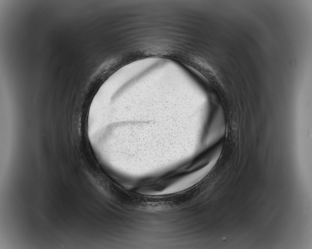 X0000086270686200704191925