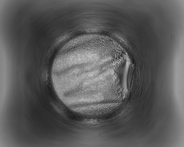 X0000086270687200704191925