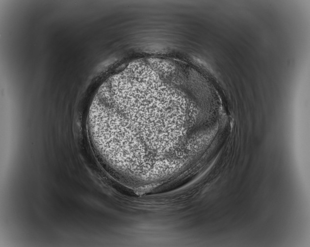 X0000086270688200704191925