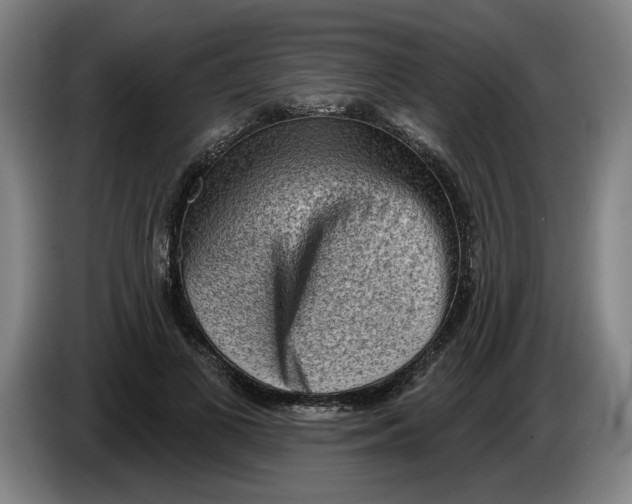 X0000086270693200704191925