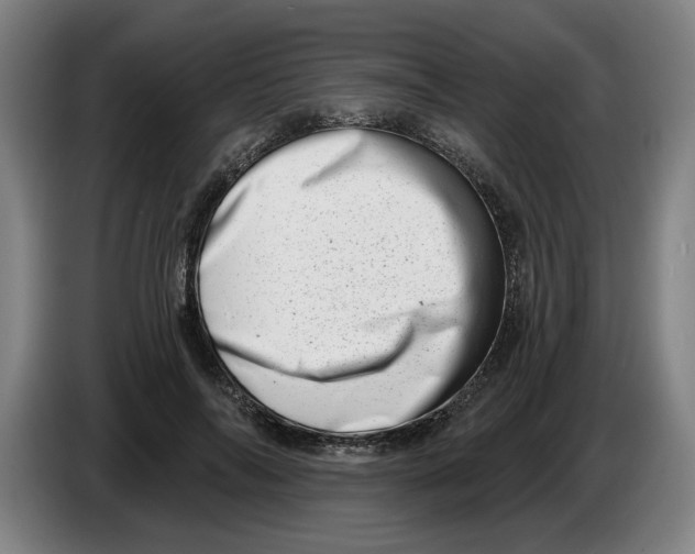 X0000086270694200704191925