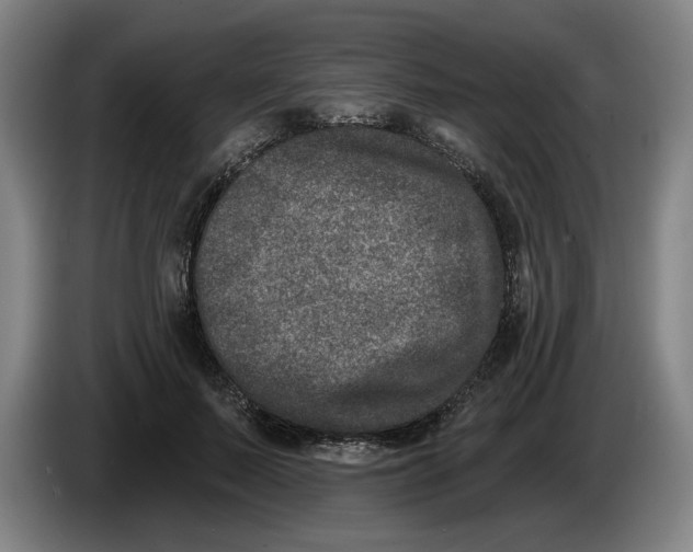 X0000086270695200704191925