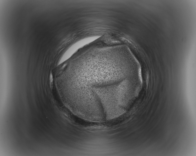 X0000086270696200704191925