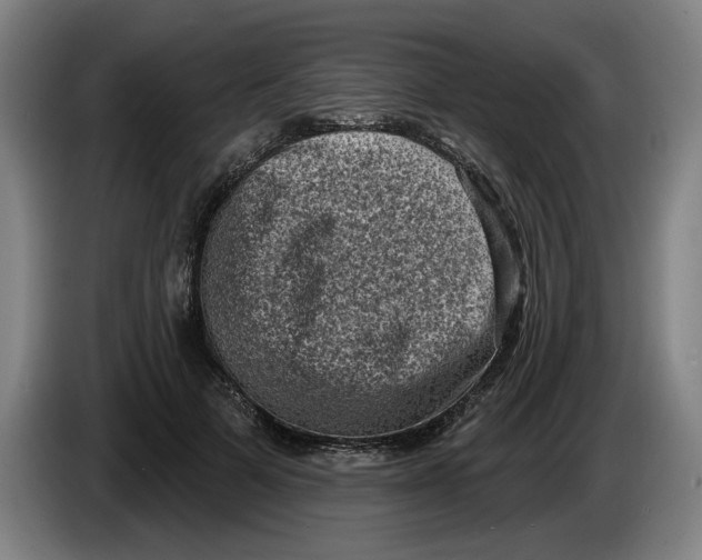 X0000086270697200704191925