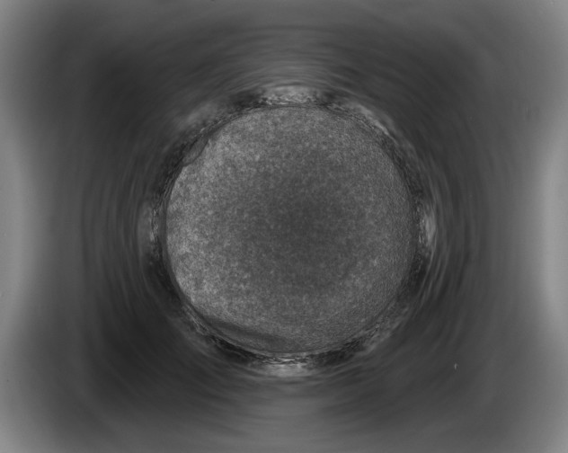 X0000086270701200704191925