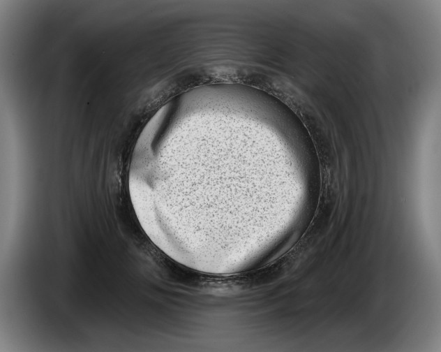 X0000086270702200704191925