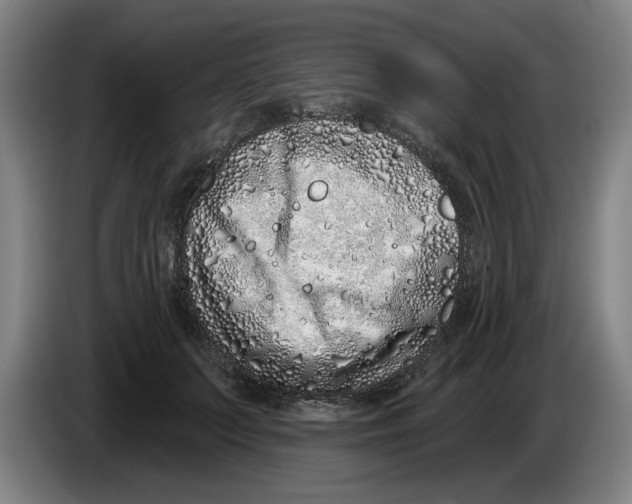 X0000086270703200704191925