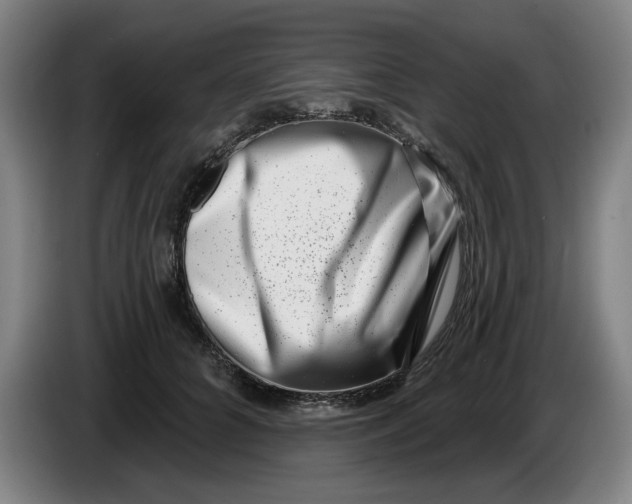 X0000086270704200704191925