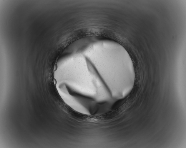 X0000086270706200704191925